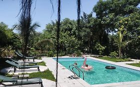 Tuyet'S Hostel