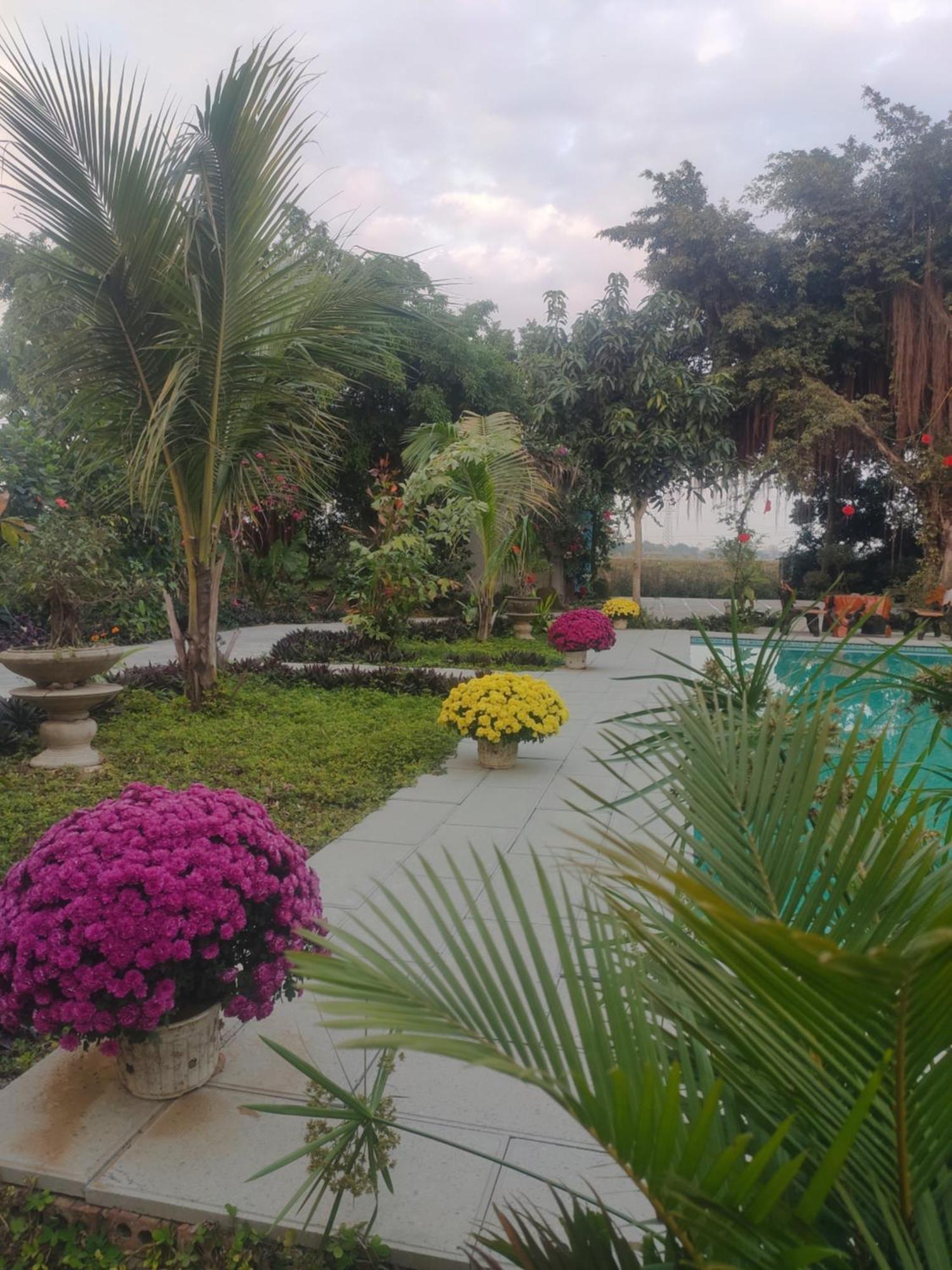 Tuyet'S Hostel Ниньбинь Экстерьер фото